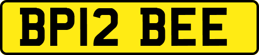 BP12BEE