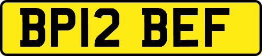 BP12BEF