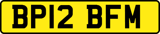 BP12BFM