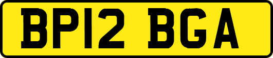 BP12BGA