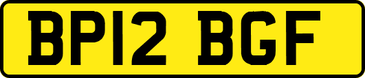 BP12BGF