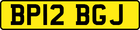 BP12BGJ