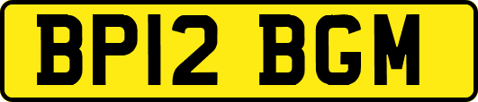 BP12BGM