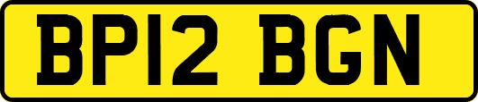 BP12BGN