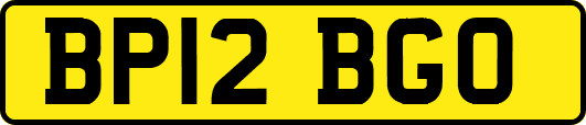 BP12BGO
