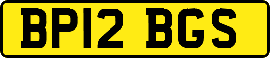 BP12BGS