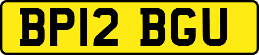 BP12BGU