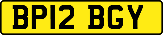 BP12BGY