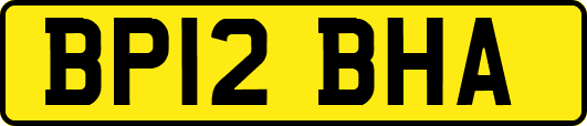 BP12BHA