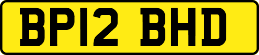 BP12BHD