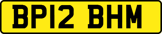 BP12BHM