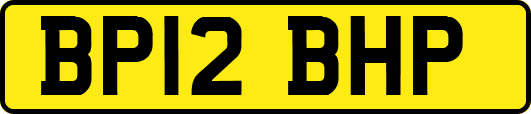 BP12BHP