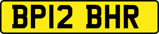 BP12BHR