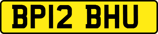 BP12BHU
