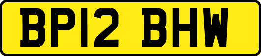 BP12BHW