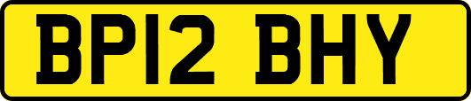 BP12BHY