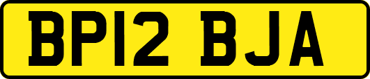 BP12BJA