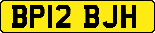 BP12BJH