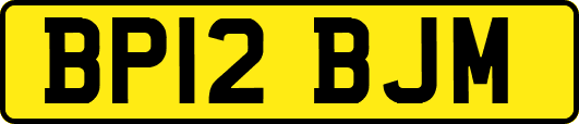 BP12BJM