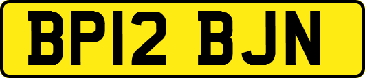 BP12BJN