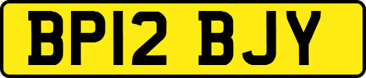 BP12BJY