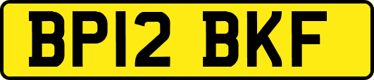 BP12BKF
