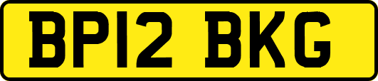 BP12BKG