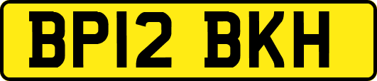 BP12BKH