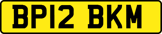 BP12BKM