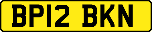 BP12BKN