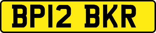 BP12BKR