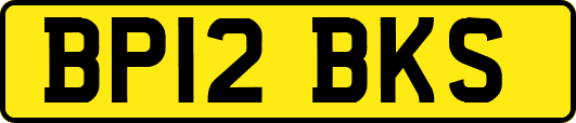 BP12BKS