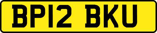 BP12BKU
