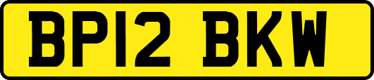 BP12BKW