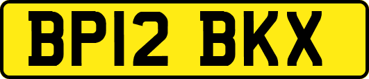 BP12BKX