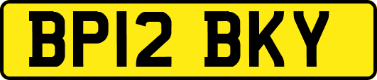 BP12BKY