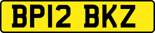 BP12BKZ