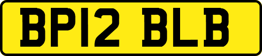 BP12BLB
