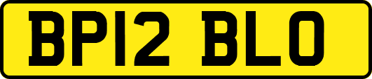 BP12BLO