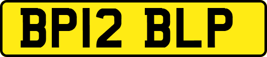 BP12BLP