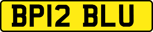 BP12BLU