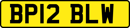 BP12BLW