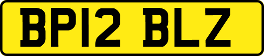 BP12BLZ