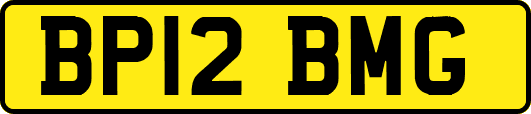 BP12BMG