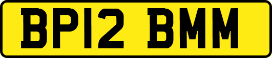 BP12BMM