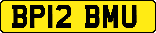 BP12BMU