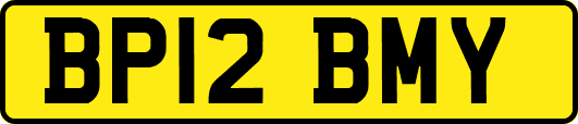 BP12BMY