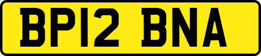BP12BNA