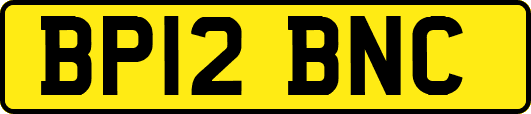 BP12BNC
