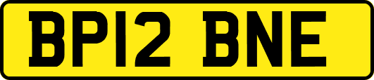 BP12BNE